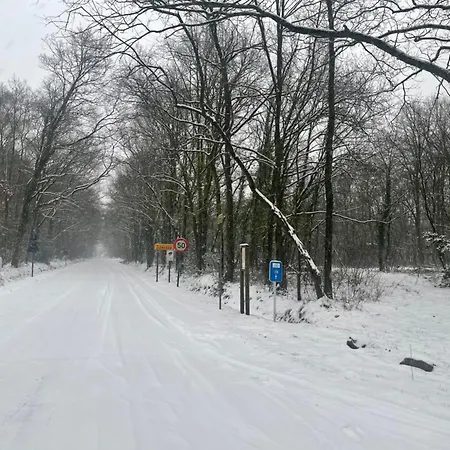 Sint-hubertus Du Bois Alpstuga *