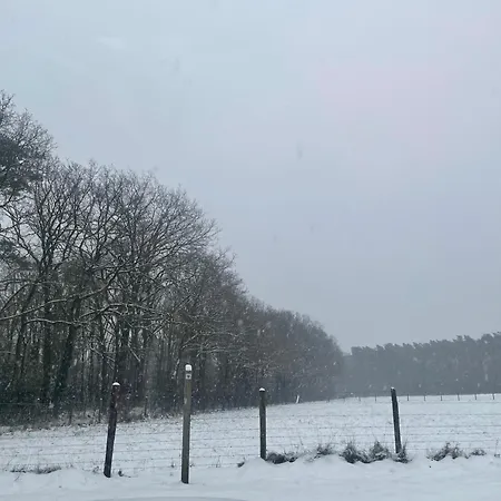 Sint-hubertus Du Bois * Zutendaal