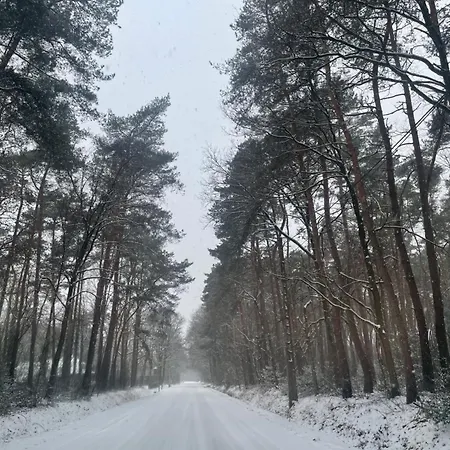 Sint-hubertus Du Bois *